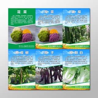 农产品海报蔬菜介绍